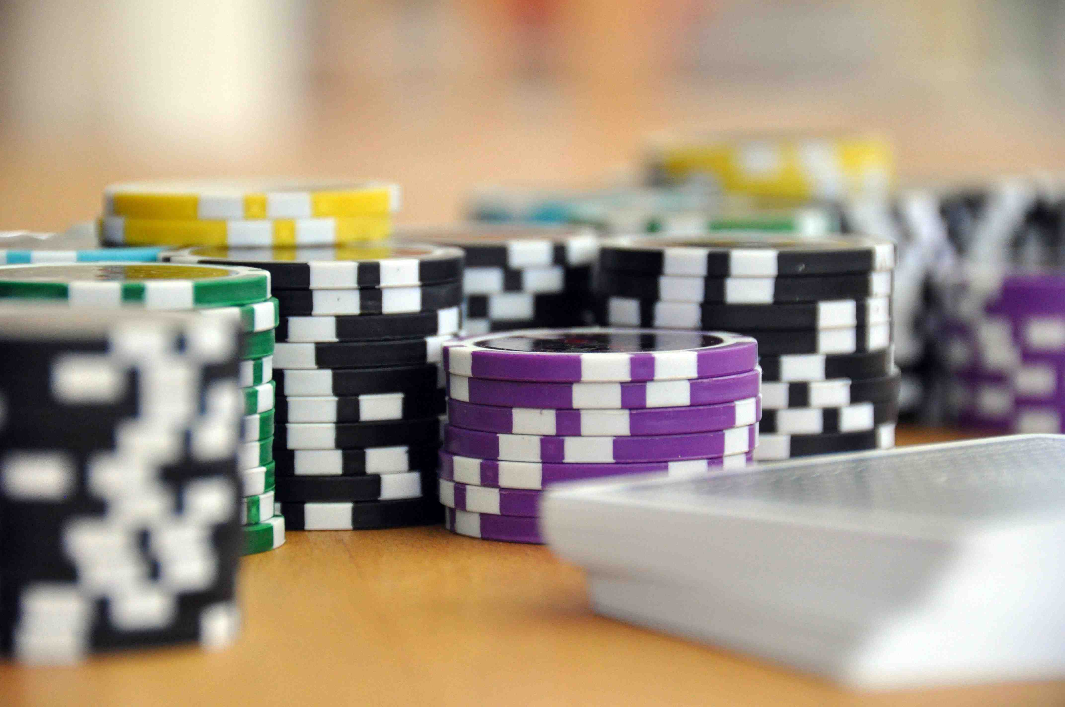 bingopluz live casino
